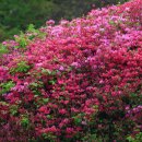 도장중 앞 이미지