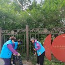 강남향군 봄날과 함께, GO!GO!GO! 이미지