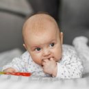 BB 동물병원 이미지