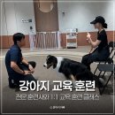 모두펫그룹 - 김해시 내외중앙로 137 | 강아지 훈련사와 함께 교육 훈련 받을 수 있는 소노펫 스쿨 훈련소