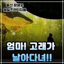 (주)미디어인터랙티브 | 울산 장생포 아이와 가볼만한곳, 웨일즈 판타지움 실시간 후기! 벚꽃 드라이브와 미디어 아트의 만남