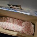가을7080라이브