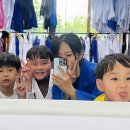 용인대 제일 유도관 네이버블로그