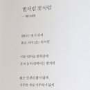별처럼꽃처럼