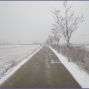 수원팔색길 매실길 이미지