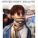 물만난물고기 이미지