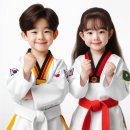 햇살태권도 이미지