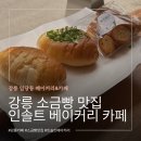장*인 - 안양시 만안구 | 강릉 베이커리 카페 추천 임당동 소금빵 맛집 인솔트 이용후기