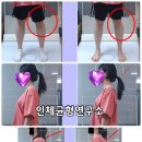 디스크독연구소 | 거북목 체형교정에 인체균형연구소, 내 몸이 여기저기 아플 때 마지막 도착지