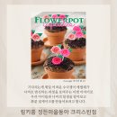 The꿈나무어린이집 | [공지] 분당정자동 링키영어 4월 원데이클래스:4/13 (토)