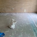 관악-현장-관악-11-29 이미지