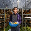 김성호농장 이미지