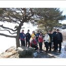 청십자약국 이미지