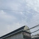 와우 족발 닭발 이미지