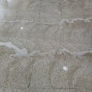 부산식당 티스토리