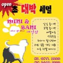 미니 앤 바니 애견샵 이미지
