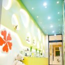 베아르시 이미지