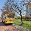 진명유치원 이미지