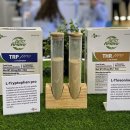 (주)매일축산 이미지