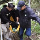 웅담농장 이미지