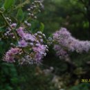 오늘, 정원 이미지