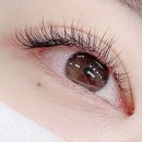 씨씨즈속눈썹 이미지