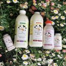 대명목장 | 01 - 대명목장만나 마시는 수제 요구르트 후기