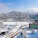 조선대학교 이미지