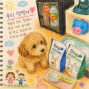 나투라 | 강아지 알러지사료 추천 딩고나투라 제품후기 | 알러지 제로 도전! 100%천연재료 딩고사료