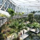 서울식물원 이미지