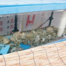 십자당약국 이미지