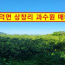 감산리 사무소 이미지