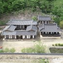 삼산 이미지