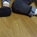 레오와 젠 네이버블로그