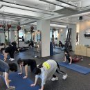 필라핏 156 이미지