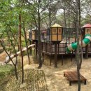 숲속공원놀이터 이미지