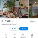 에스콘디테 이미지