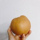 수밀농장 | [7월 둘째 주 장보기] 쿠팡(국수터지장수밀싹농장), 재래시장, 이마트, 흥부네곳간