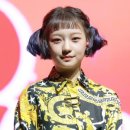 푸들푸들 이미지