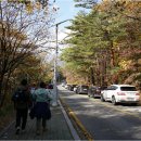 권금성휴게소 | 속초여행1. 외국인 친구와 당일치기 설악산 추천 코스 : 울산바위+권금성 후기 (1)