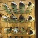 랜드피시 이미지