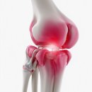 제노스템 이미지