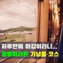 광명프린팅 | 하프마라톤 신청 완료! 광명 평화마라톤 2026 코스·기념품 정리