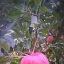 천해농장 이미지