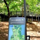 수락산 순환산책로 서울일보