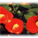 감천초등학교 이미지