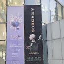 김준영 | 연극 아마데우스[권율,문유강/김준영]후기