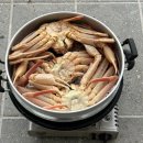 영월 감성숙소 벨라 독채풀빌라 이미지