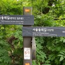 5월 31일 서울의 명산 관악산을 산행함 이미지