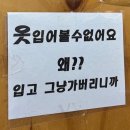 250316 데이식스 광주 막콘 다녀온 짭마데 후기 (부제 : 박성진이 남자로 보입니다)